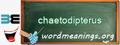 WordMeaning blackboard for chaetodipterus